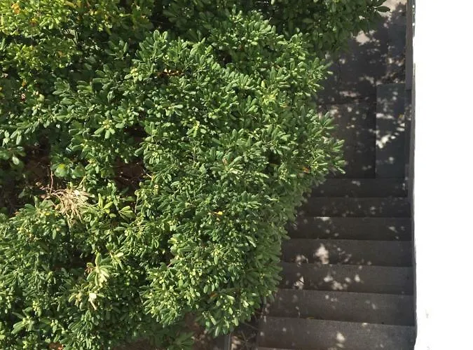 Apartament Zadar-city